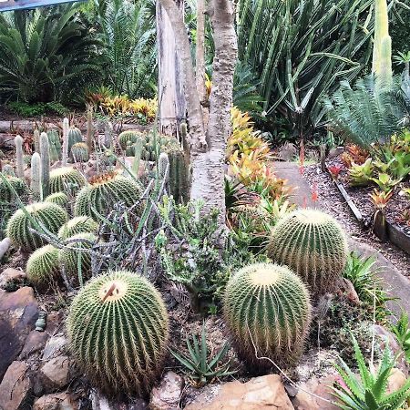 Ancient Gardens Guesthouse & Botanical Gardens Eudlo Dış mekan fotoğraf