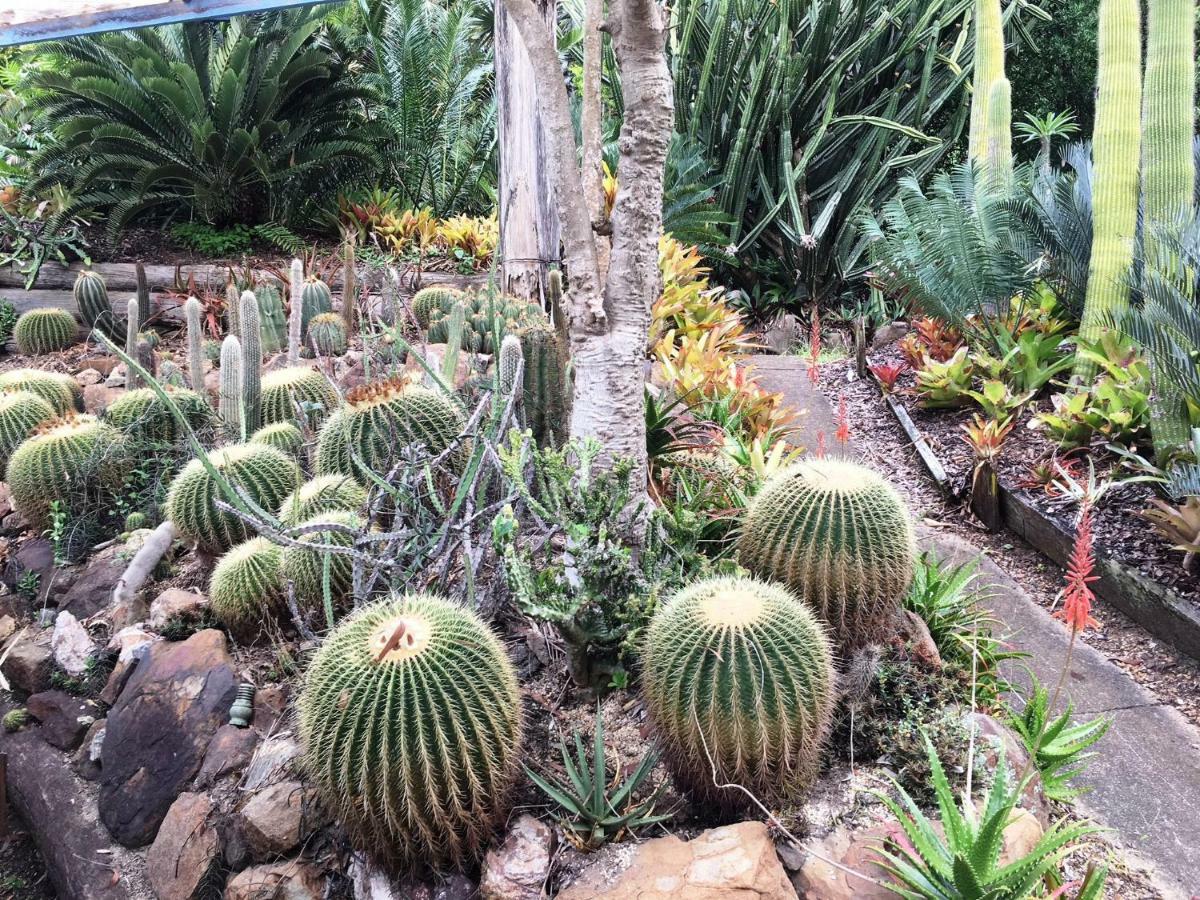 Ancient Gardens Guesthouse & Botanical Gardens Eudlo Dış mekan fotoğraf